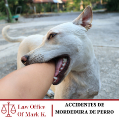 Accidente de Mordedura de Perro